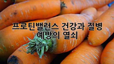 프로틴밸런스: 건강과 질병 예방의 열쇠