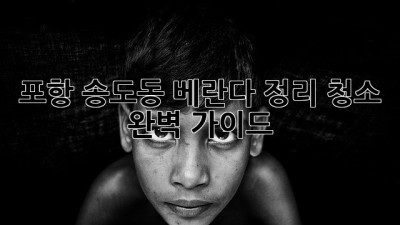 포항 송도동 베란다 정리 청소 완벽 가이드